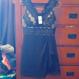 Suzy Shier M/M Light Beige & Black Lace BNWT Dress